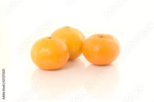 Obraz orange