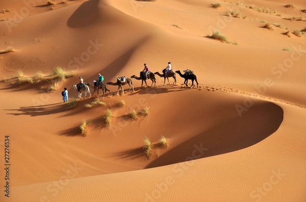 Fototapeta sahara