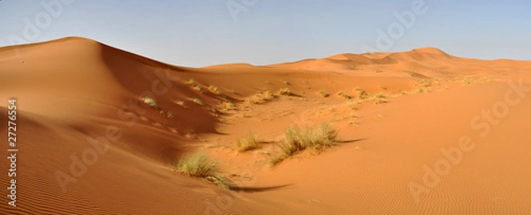 Fototapeta sahara
