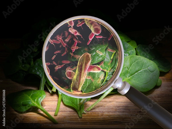 Fototapeta Contaminated food concept and tainted meal poisoning symbol resulting in illness due to dangerous toxic bacteria