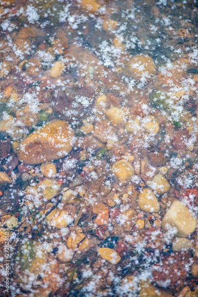 Fototapeta ground soil texture with tree roots and old vegetation leftovers
