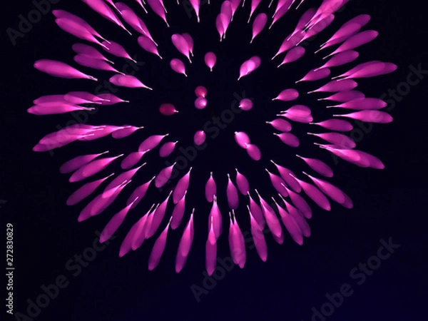 Fototapeta 花火　グラフィック素材　紫色