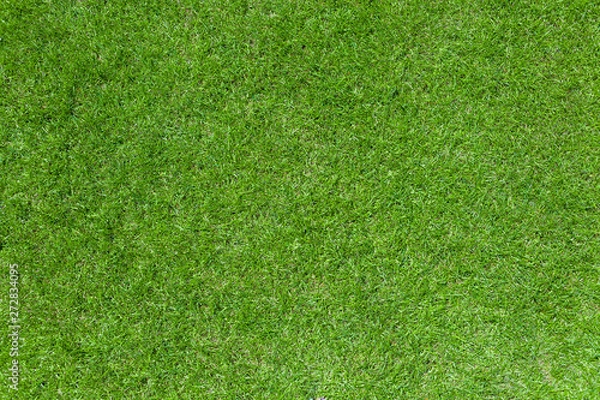 Obraz 真俯瞰の芝生