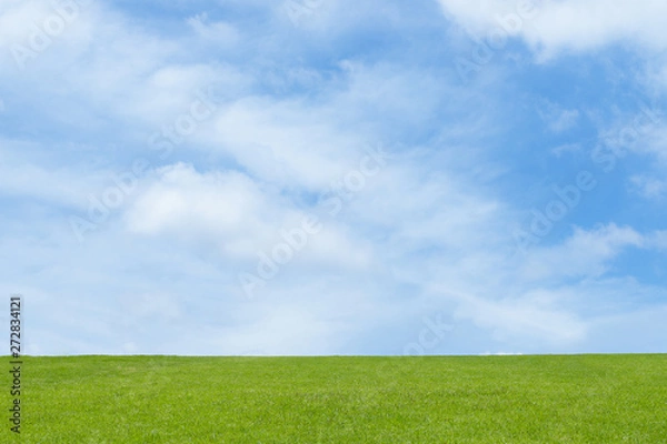 Obraz 青空と芝生