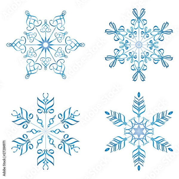 Obraz Eisblumen geschwungen