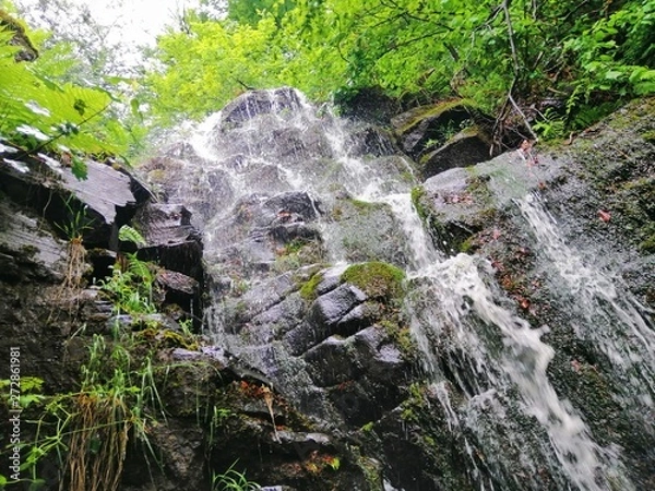 Fototapeta smartcapture