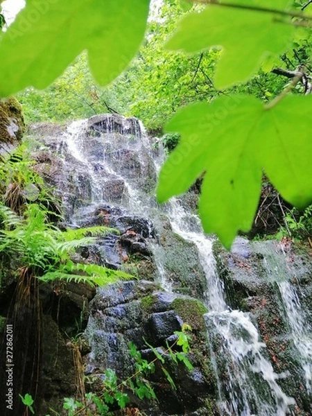 Fototapeta smartcapture