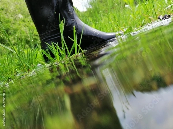 Fototapeta smartcapture