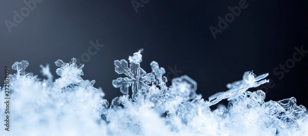 Fototapeta snowflake in the snow, winter