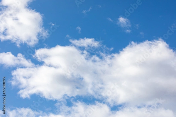 Fototapeta 青空・雲