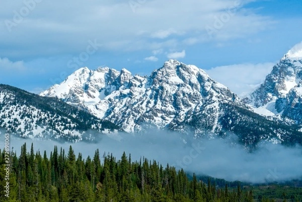 Obraz Snow-covered mountain peaks with rolling line of evergreens and mist in foreground 