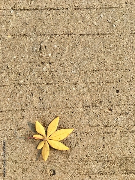 Fototapeta Yellow leave on cement abstract background texture