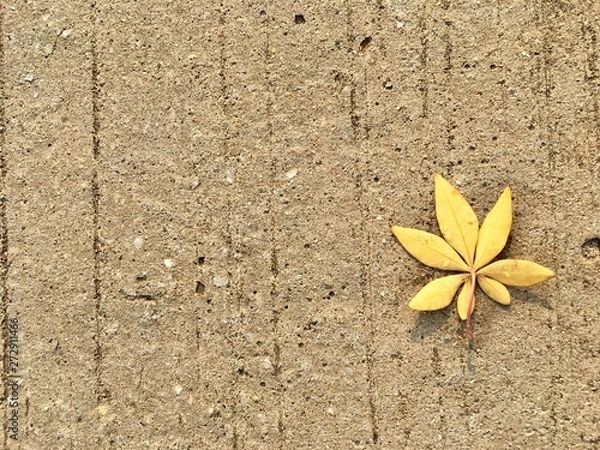 Fototapeta Yellow leave on cement abstract background texture