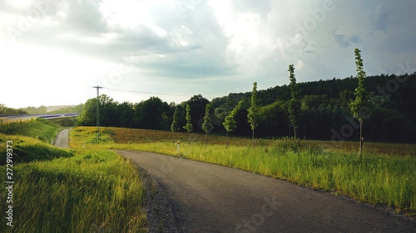 Fototapeta A road to uknown.