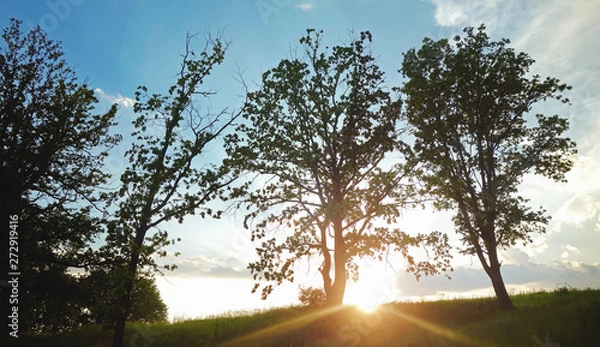 Obraz Sun setting in the countryside. 