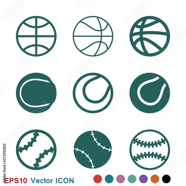 Fototapeta Sport ball icon. Flat vector illustration isolated on background
