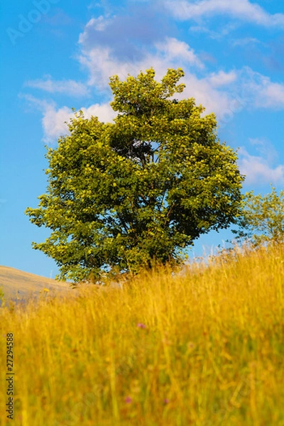 Obraz Beautiful view