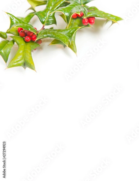 Obraz Christmas framework with holly berry isolated