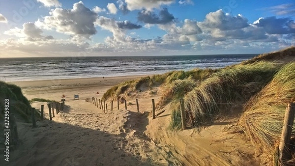 Fototapeta Dunes with marram grass at the beach of Bloemendaal aan Zee, Holland, Netherlands