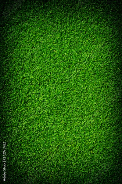 Fototapeta Artificial grass background