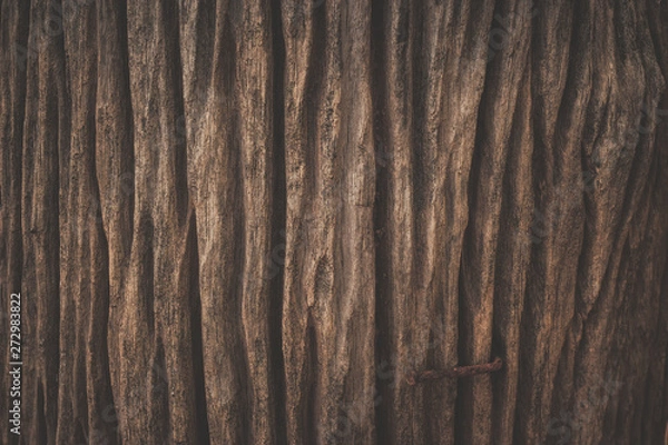 Obraz wood texture background