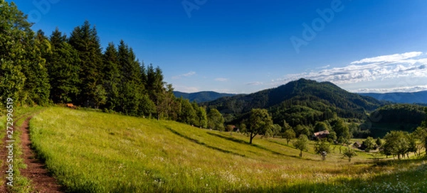 Obraz Schwarzwaldpanorama