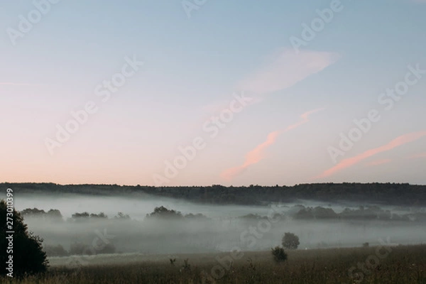 Obraz sunset on lace