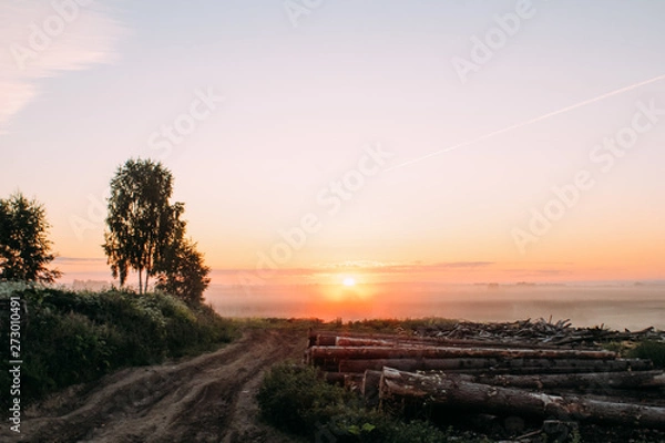 Obraz dawn in the field