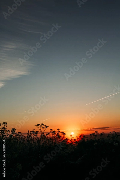 Obraz sunset in the sky