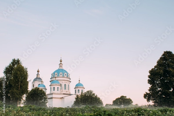 Obraz cathedral in russia