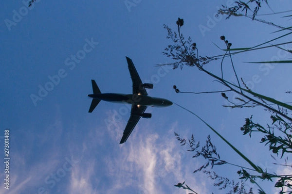 Obraz airplane in the sky