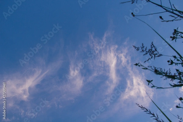Obraz blue sky with clouds