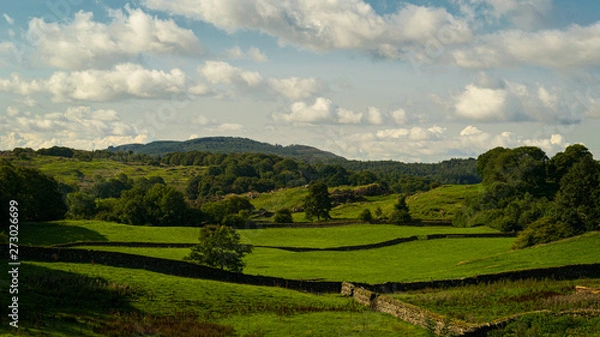 Fototapeta The fields and meadows of Bowness-on-Windermere on a late afternoon in summer