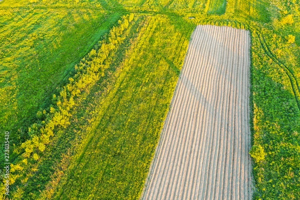 Fototapeta Plowing land furrows for planting agronomical plants among the countryside of grass and meadows trees, aerial view from above.