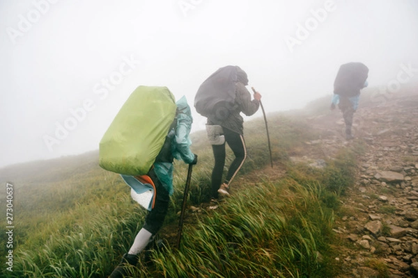 Obraz Hiking. Backpackers hiking up the foggy mountains. Mountain trekking. Men with backpacks on trek.