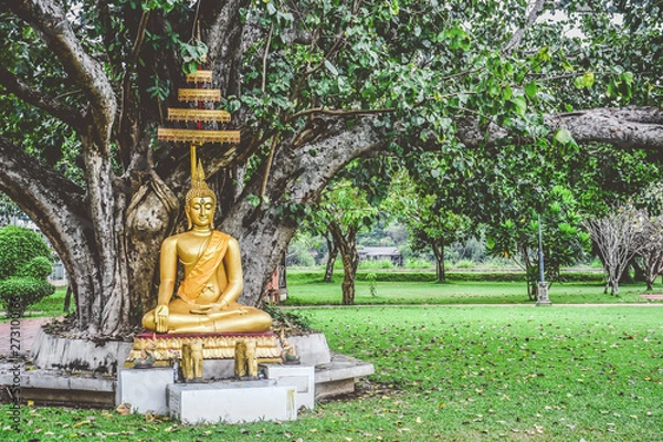 Fototapeta beautiful gold color buddha statue sitting under bodhi tree, copy space, peaceful, meditation or enlightenment concept