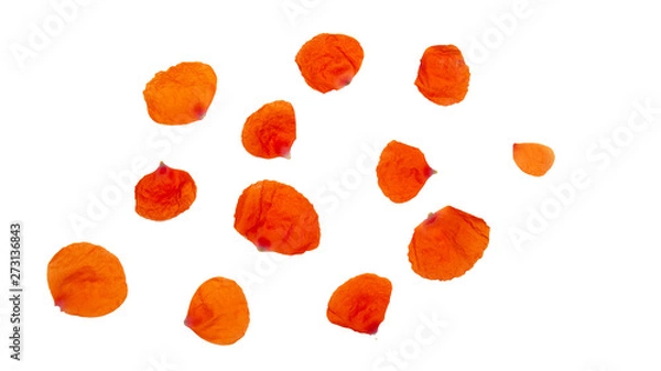 Fototapeta Red poppy petals isolated on white background.