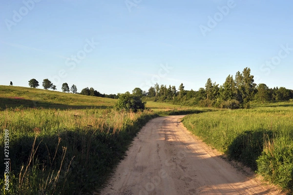 Fototapeta Droga polna