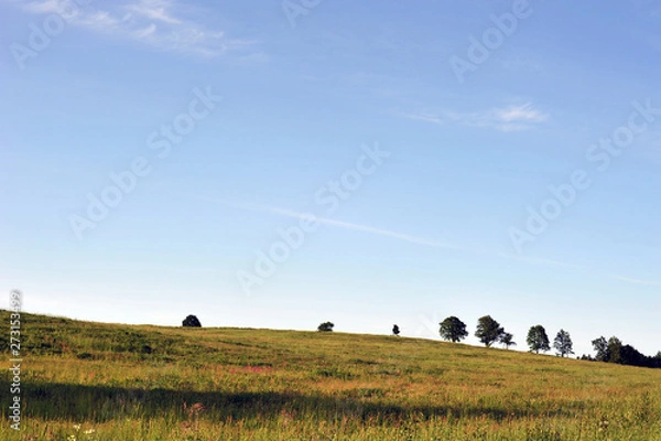 Fototapeta Niebo nad łąką