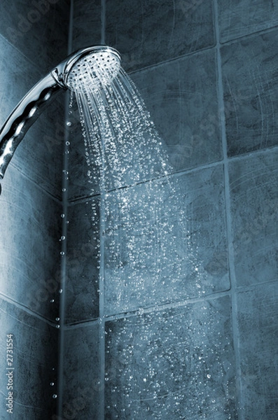 Obraz shower