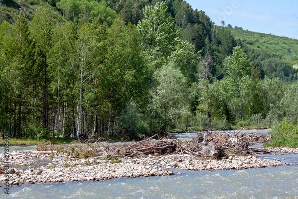 Obraz Mountain river surrounded by wooded slopes.