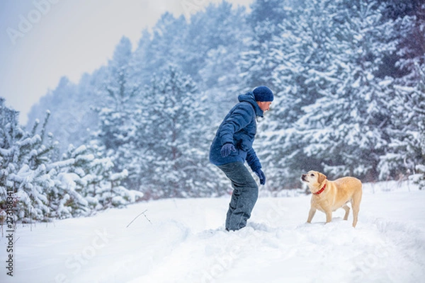 Fototapeta A man and dog are best friends. The man with the dog playing in a snowy pine forest in winter