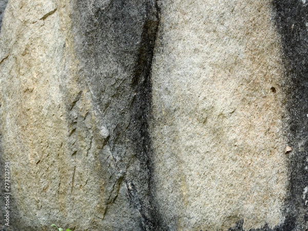 Fototapeta background