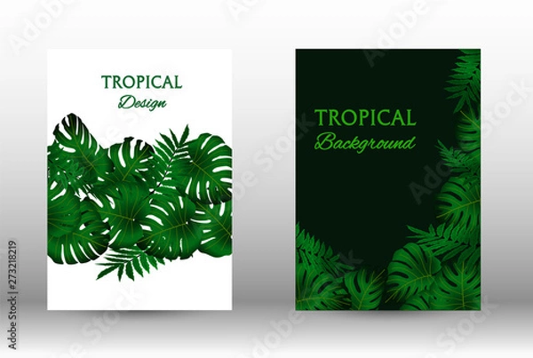 Fototapeta A set of tropic