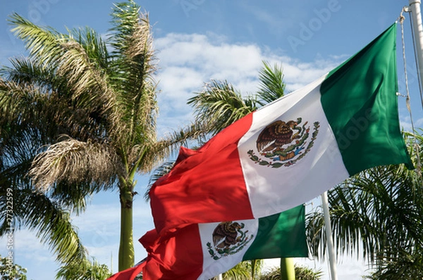 Obraz Mexican flags and palm trees