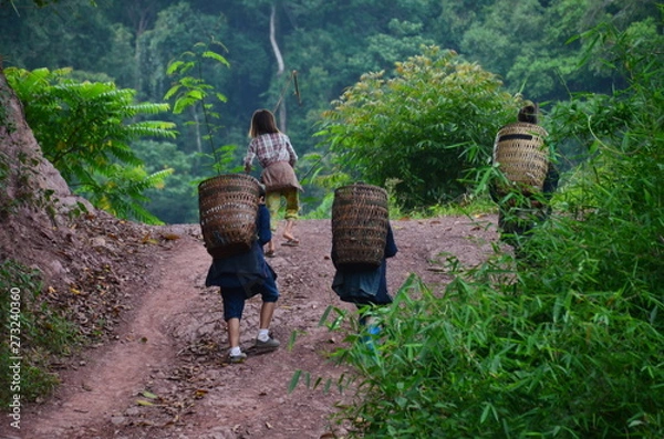Obraz ラオス北部のルアンナムター　山道を歩く少数民族の家族　竹籠を背負い農作業へ向かう姿