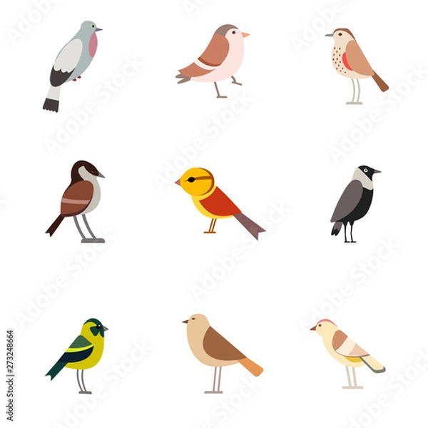 Obraz Bird pattern flat illustration on white
