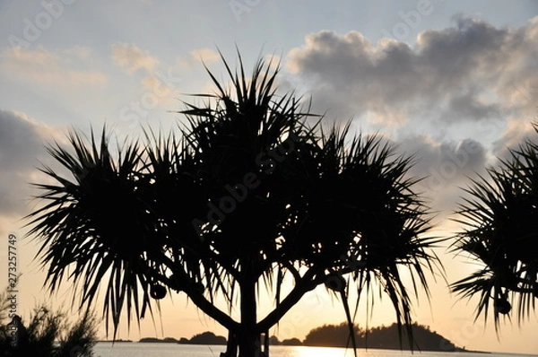 Fototapeta コントラスト沖縄