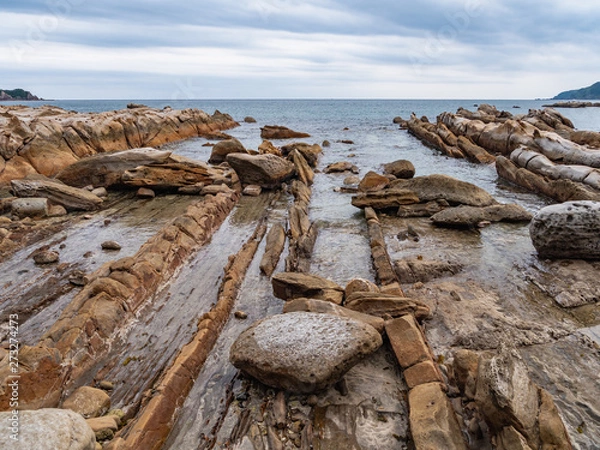 Obraz 高知県 土佐清水市 竜串海岸