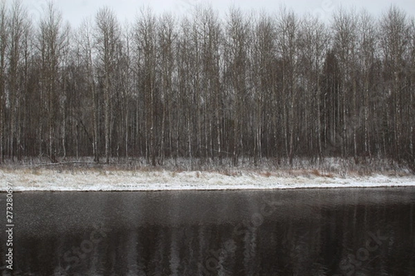 Obraz  Gray row of trees on a frozen river